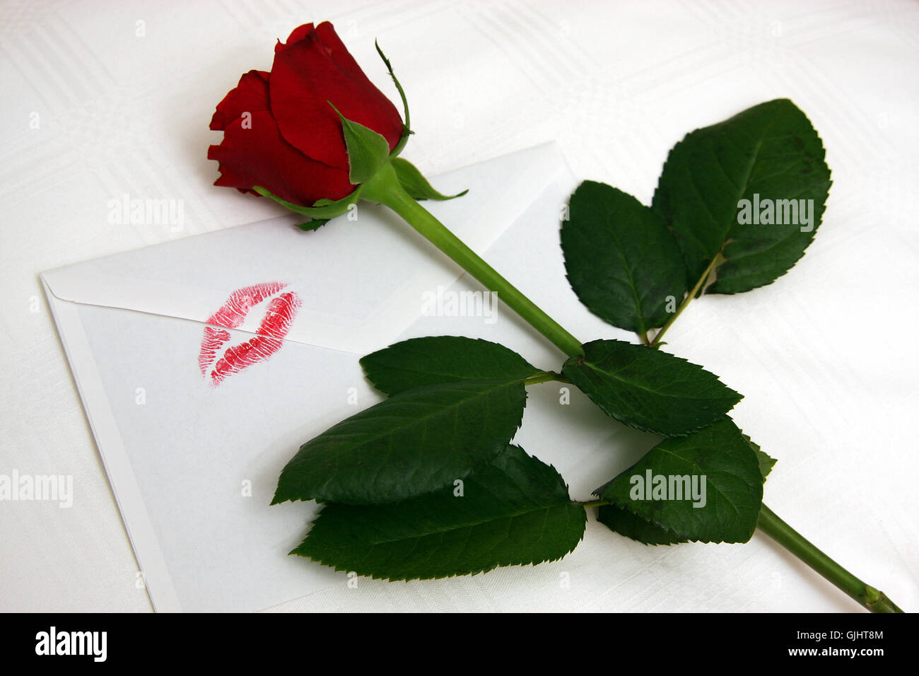 feeling flower rose Stock Photo Alamy