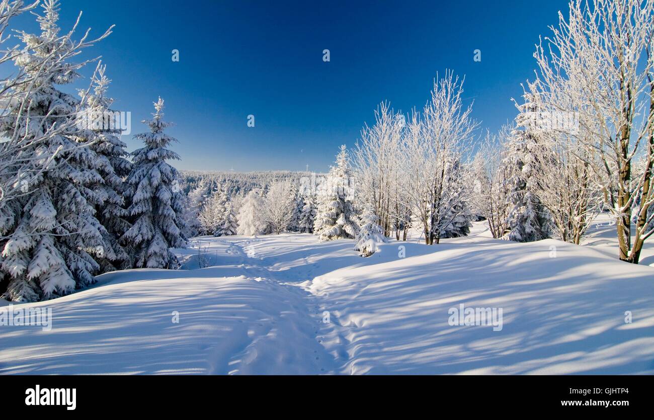 winterland Stock Photo 114718636 Alamy