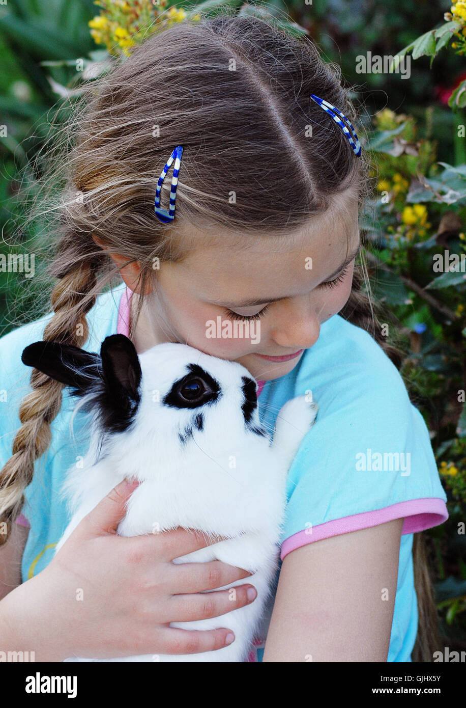 pet rabbit affectionate Stock Photo