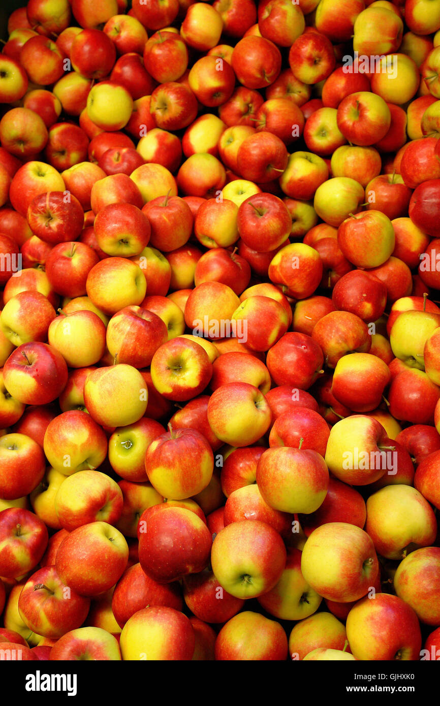 Red jonagold apple fruit hires stock photography and images Alamy