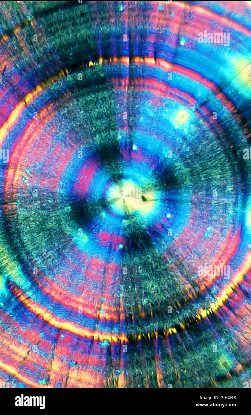 vitamin c in polarized light,40 x Stock Photo