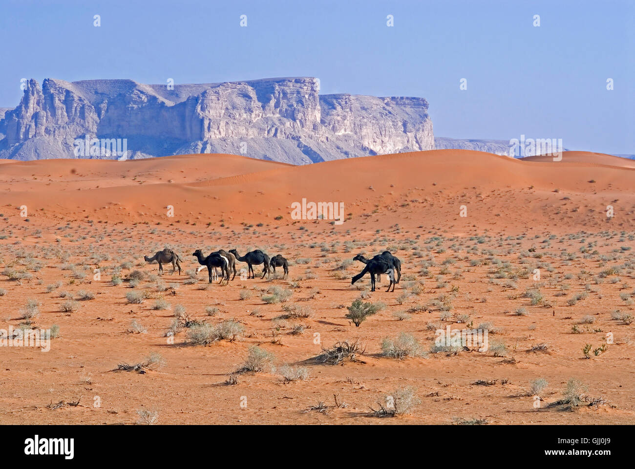 red sands,saudi arabia Stock Photo