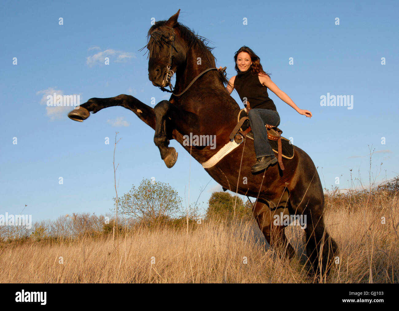 woman horse stallion Stock Photo