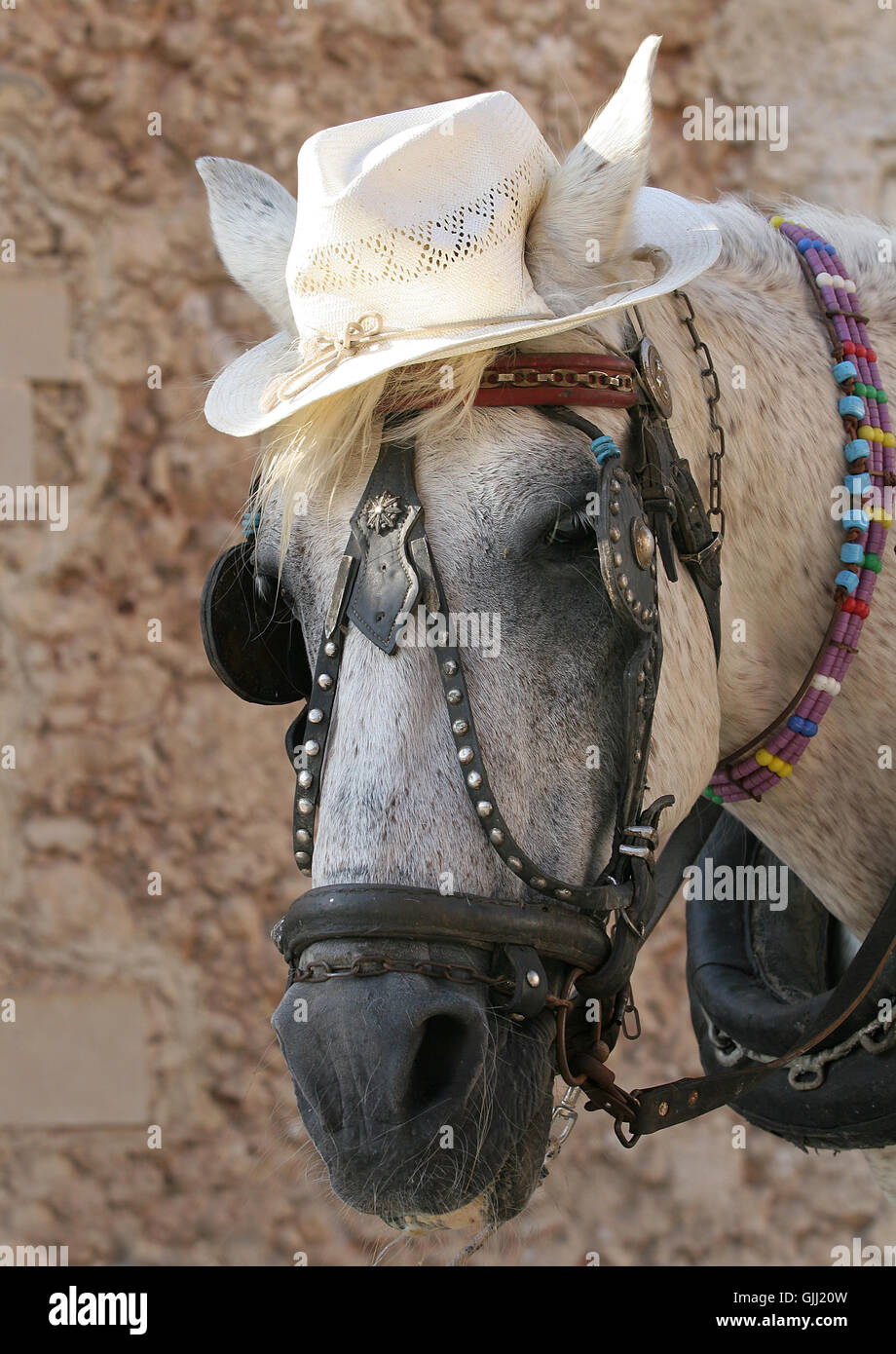 ride horse hat Stock Photo
