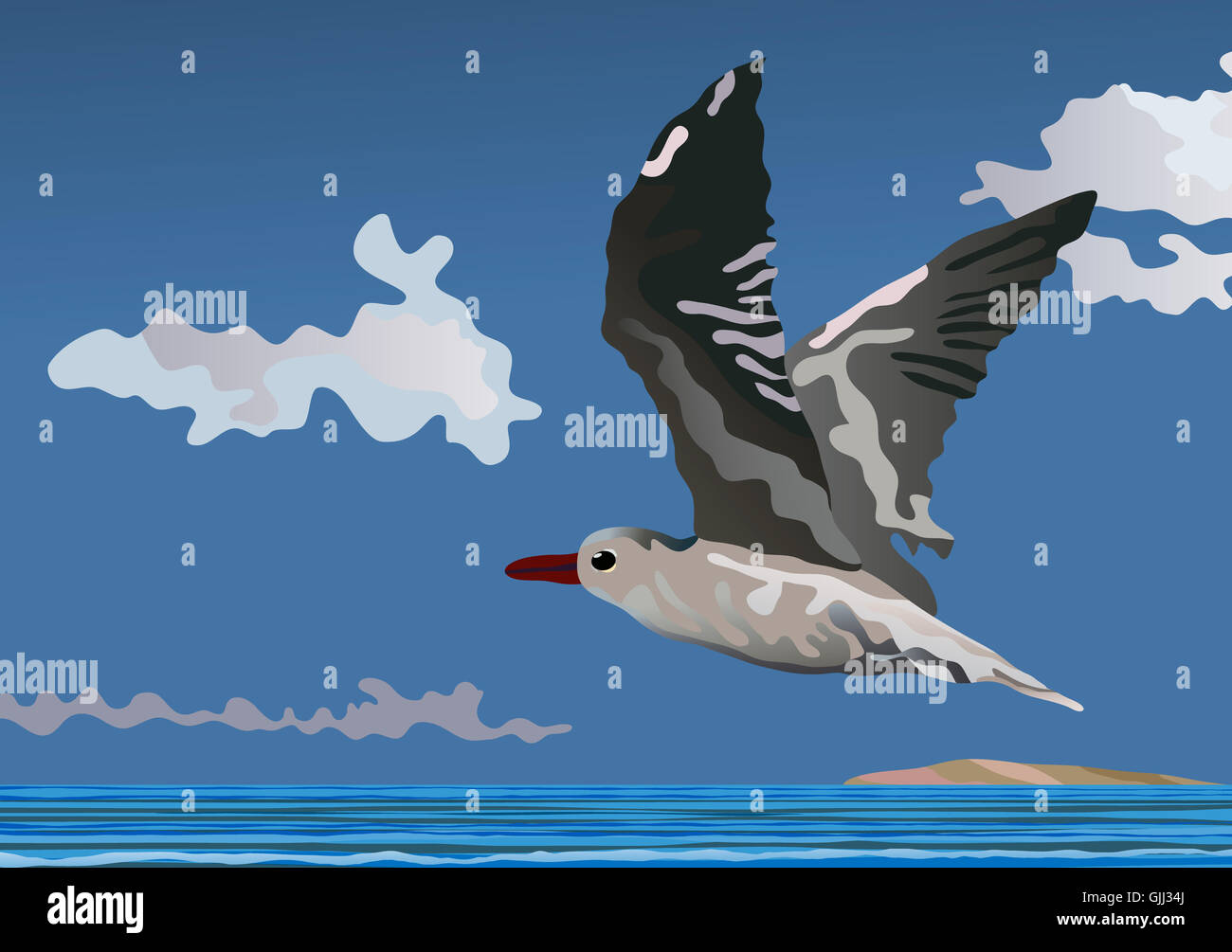 flight bird eye Stock Photo