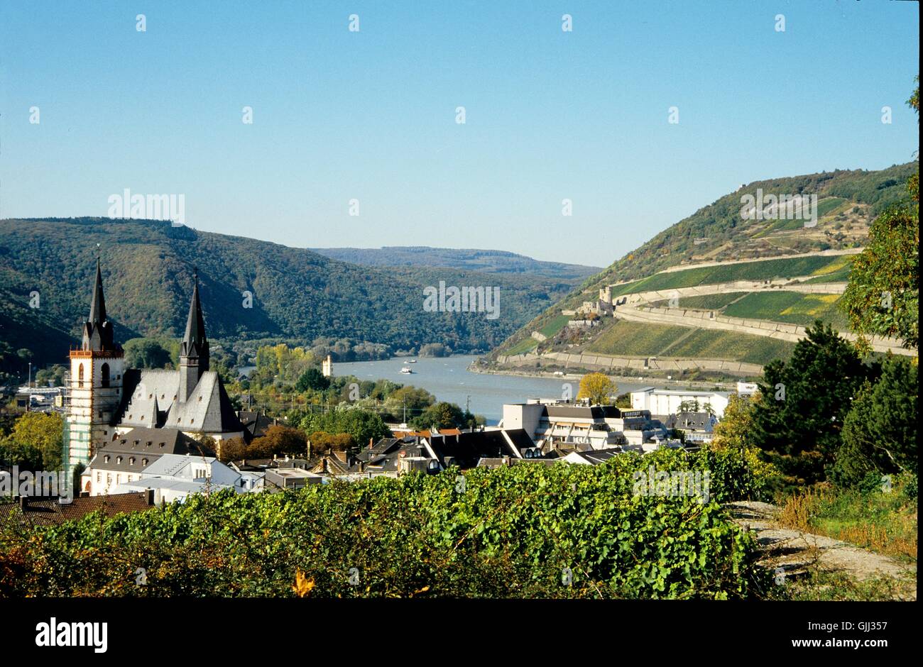 church rhine vineyards Stock Photo