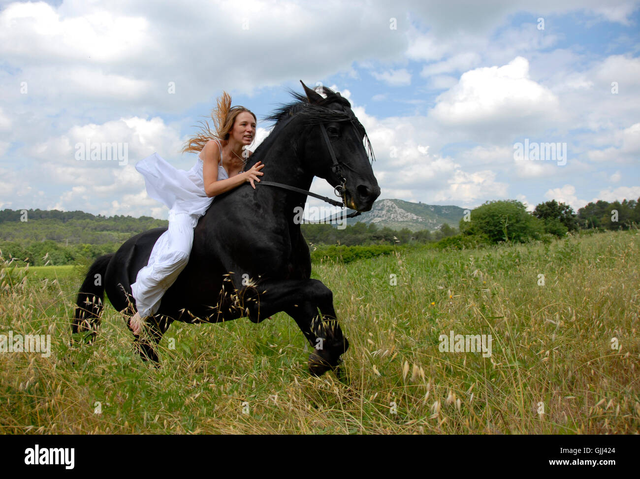 woman horse wedding Stock Photo