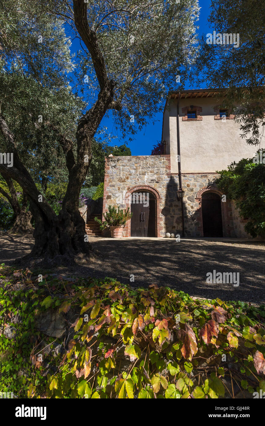 tasting room, wine tasting room, winery tour, Medievalinspired castle, Paradise Hills, Blankiet