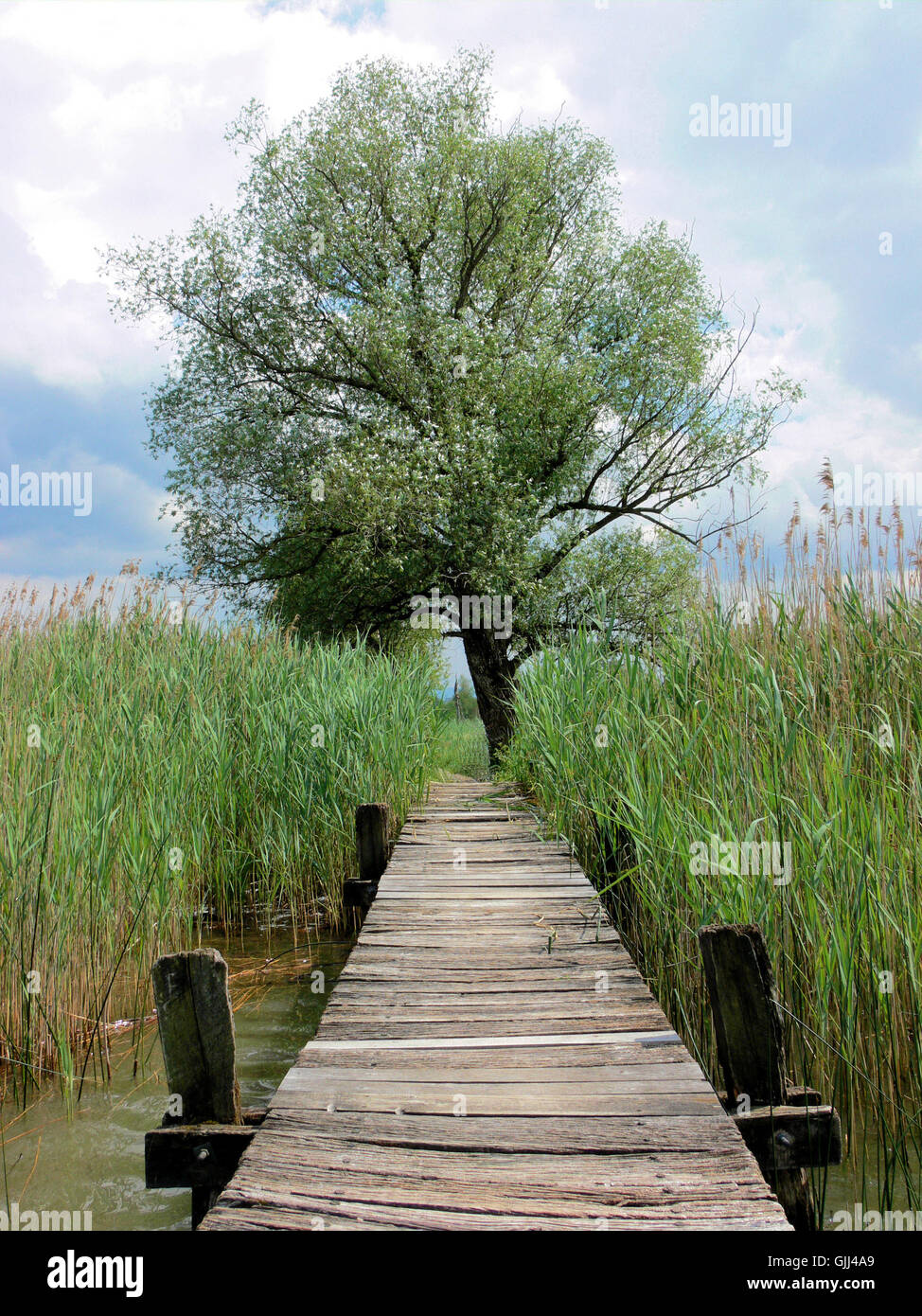 The Way Back Stock Photo - Alamy