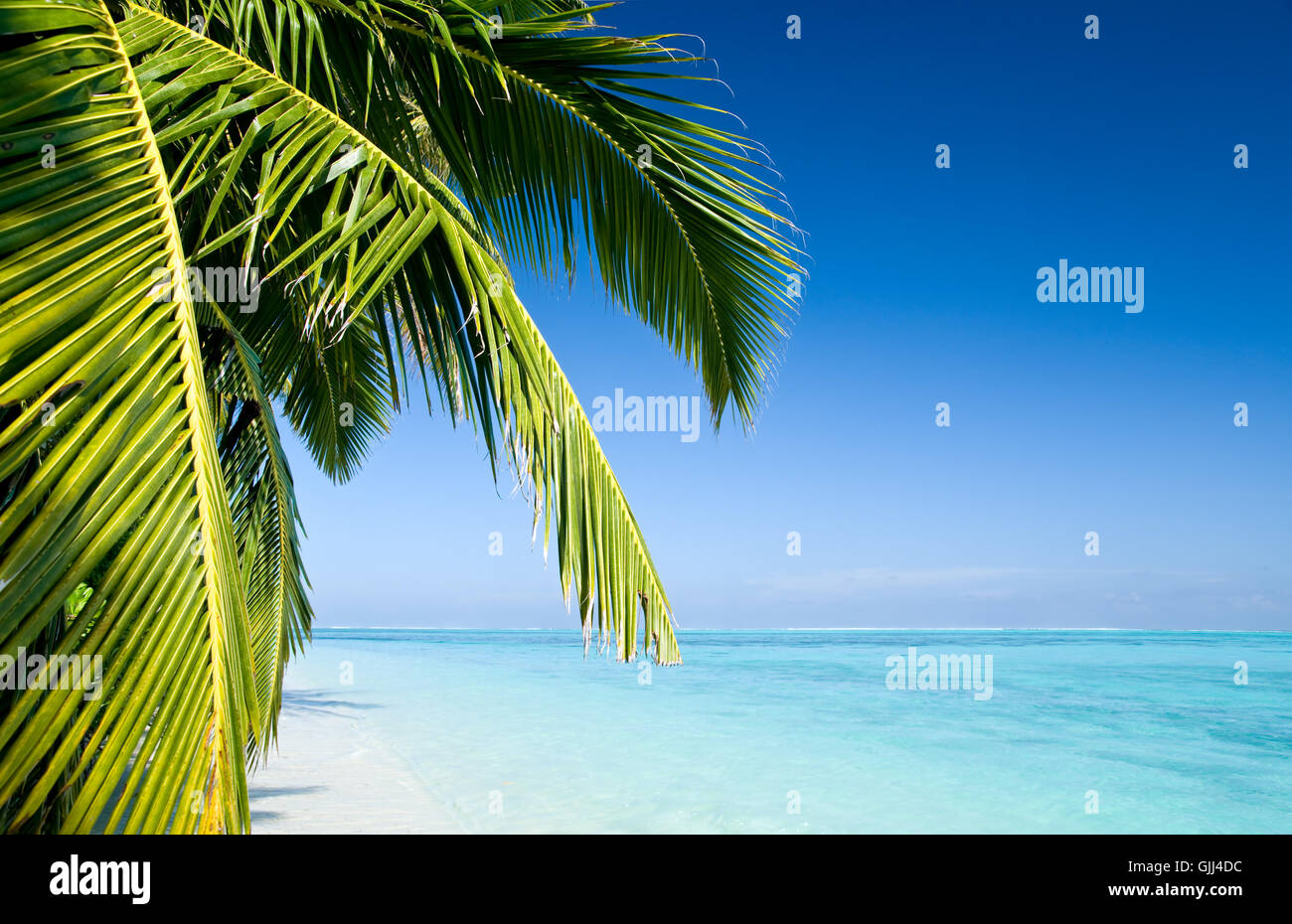 Unaffected vacations hi-res stock photography and images - Alamy