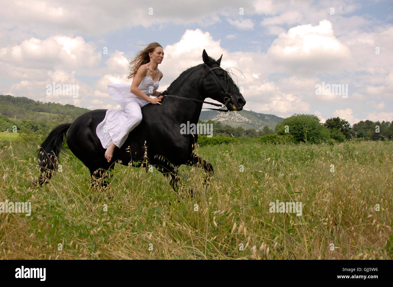woman horse wedding Stock Photo