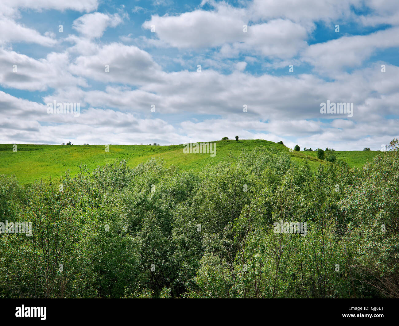 North Russian village.Arkhangelsk region .Russian North. Stock Photo