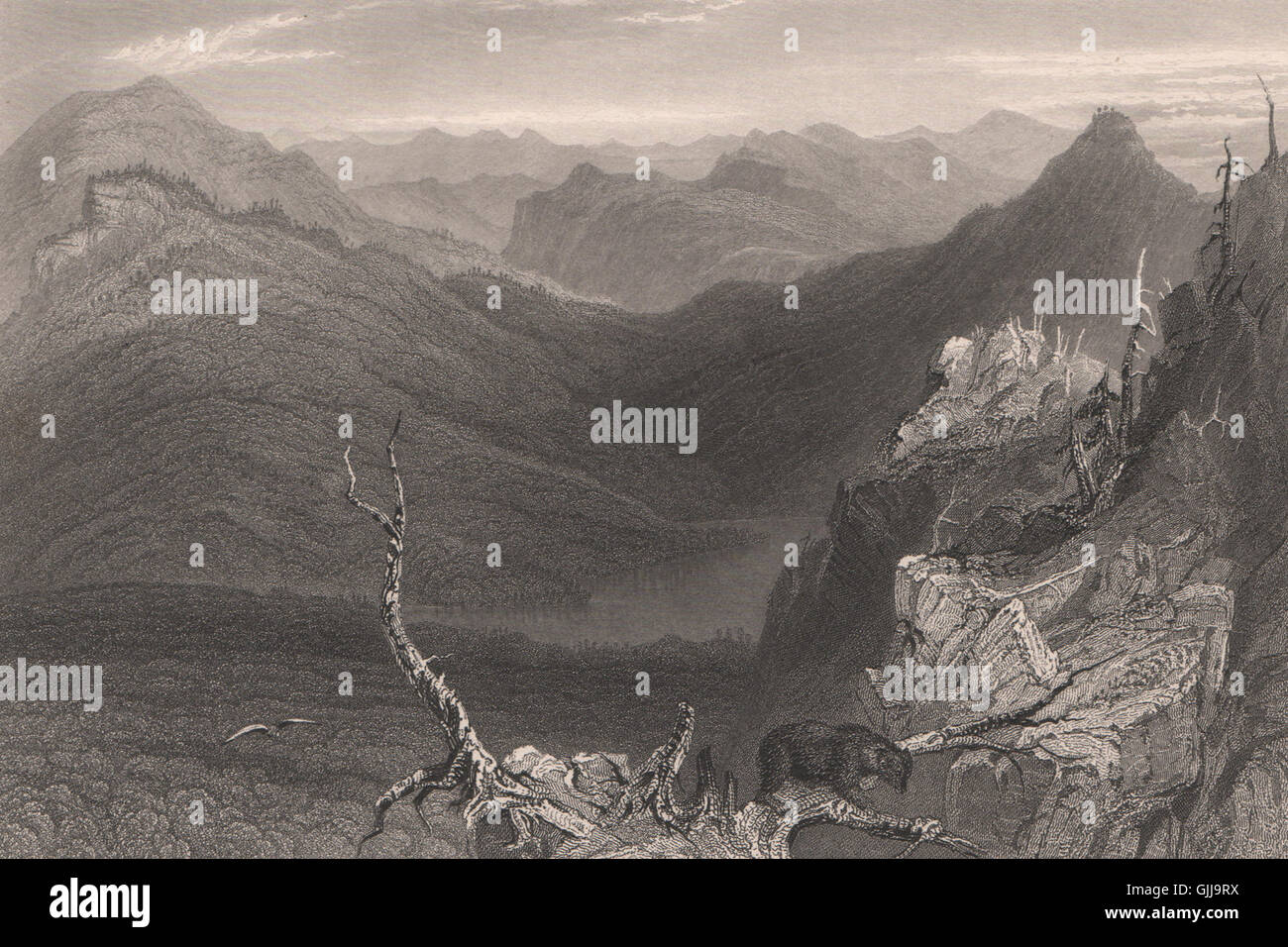QUEBEC. Owl's Head Mountain & lake. Mont Owl's Head. BARTLETT, old