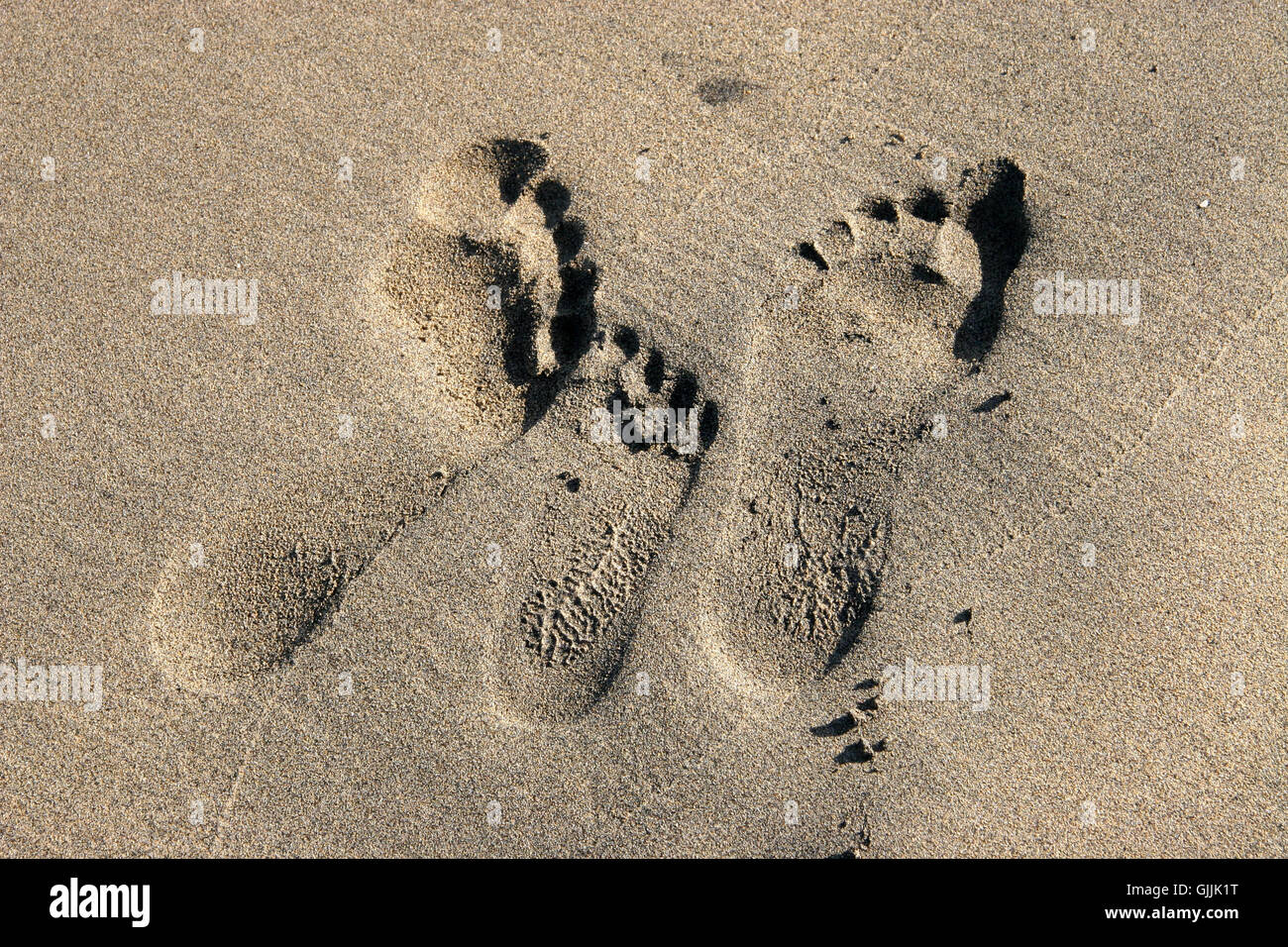 beach seaside the beach Stock Photo