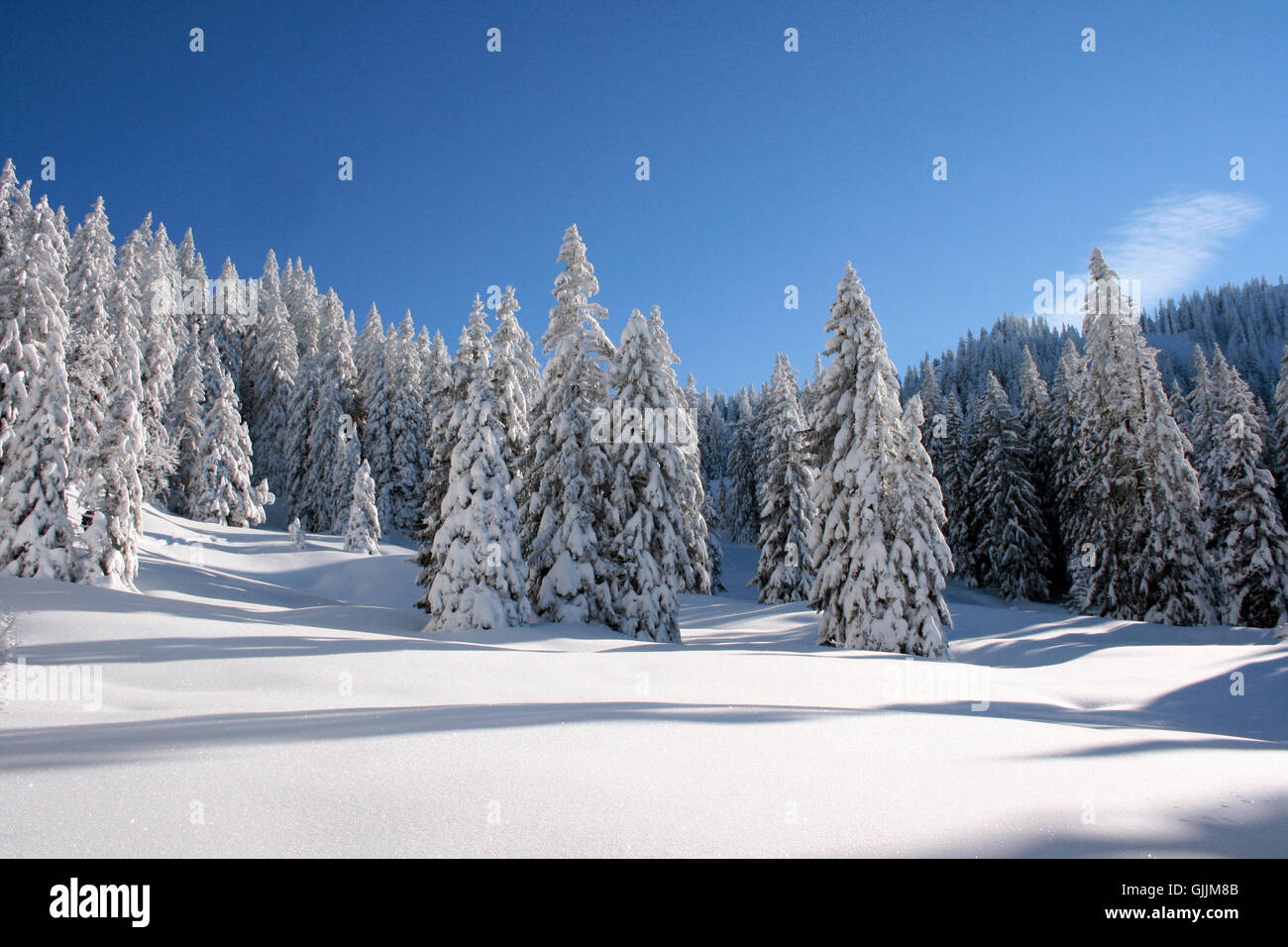 blue shine shines Stock Photo - Alamy