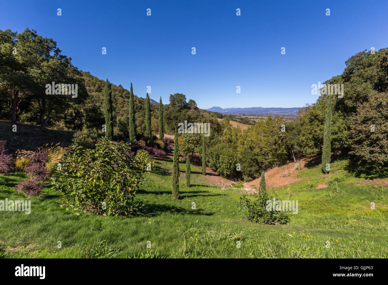 garden, gardening, garden landscape, looking east to Highway 29, view from, Paradise Hills, Blankiet Estate, Yountville, Napa Valley, California Stock Photo