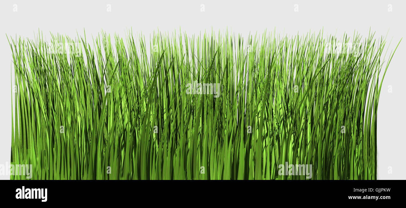 Blades of grass hires stock photography and images Alamy