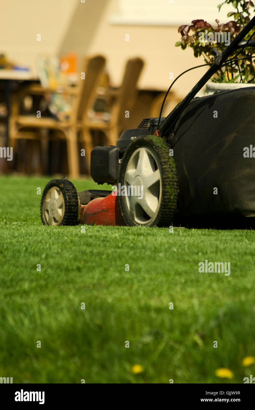 summer summerly mow Stock Photo