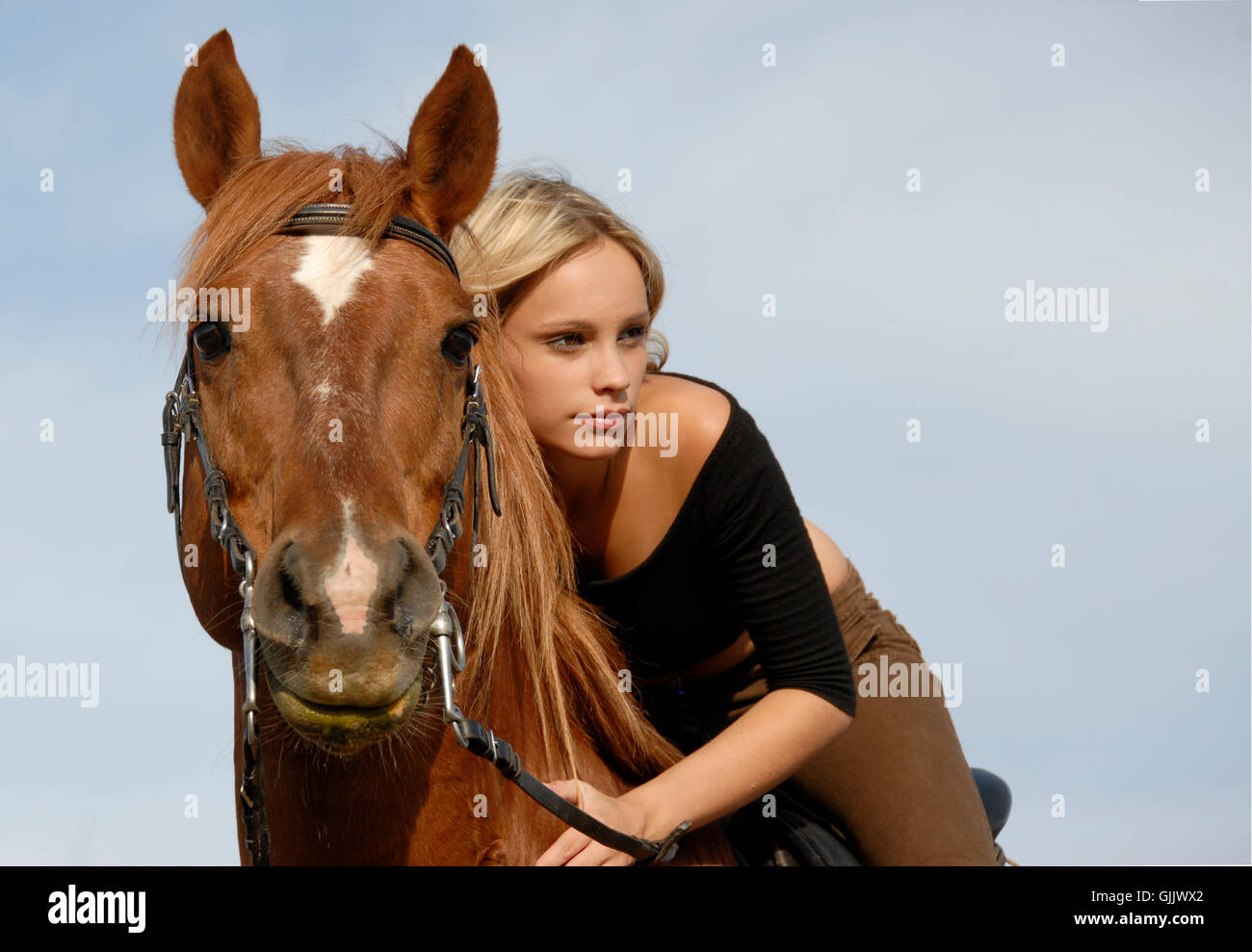 woman horse portrait Stock Photo