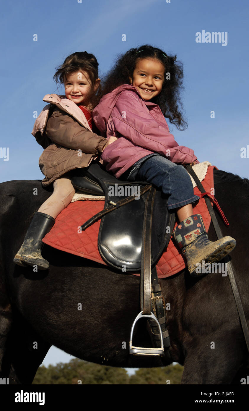 horse riding saddle Stock Photo