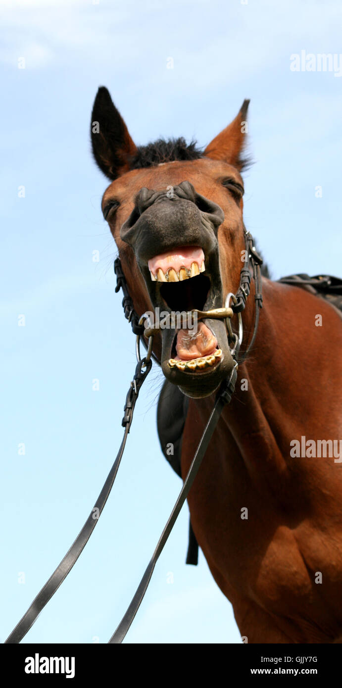 Worms Eye Perspective Prospect Stock Photo Alamy Worms Eye Perspective Prospect Stock Photo Alamy