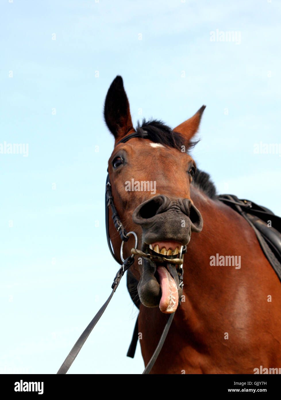 Worms Eye Perspective Prospect Stock Photo Alamy