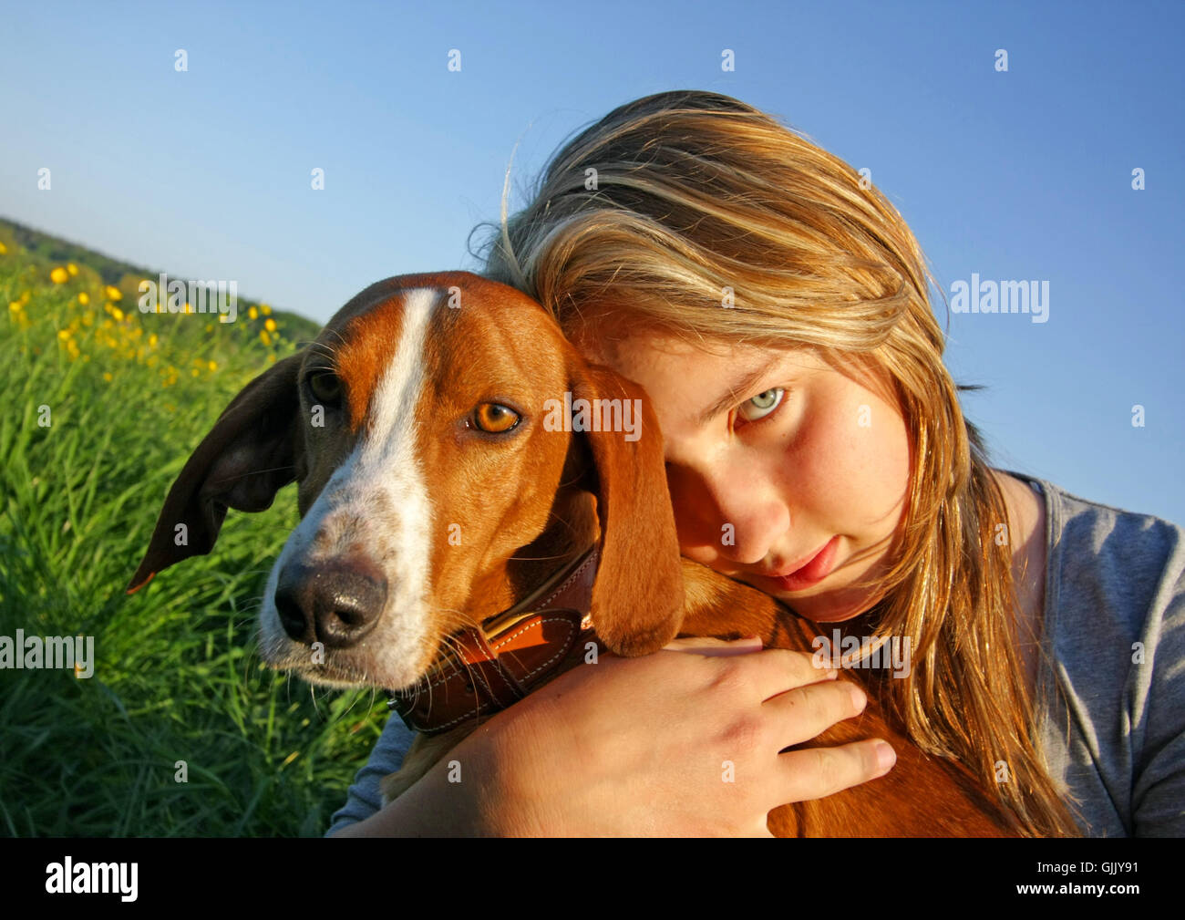dog embrace meadow Stock Photo