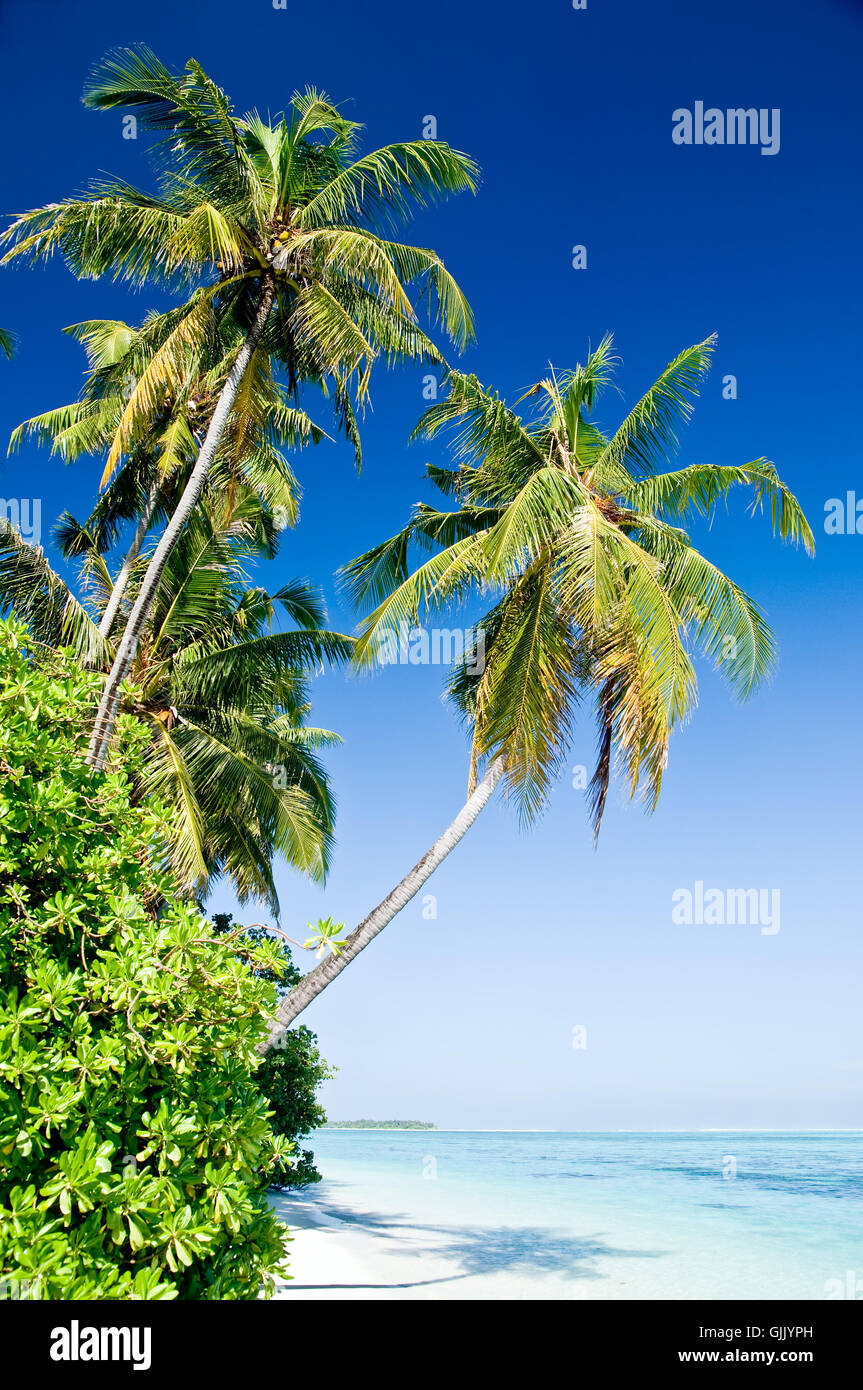 Unaffected vacations hi-res stock photography and images - Alamy