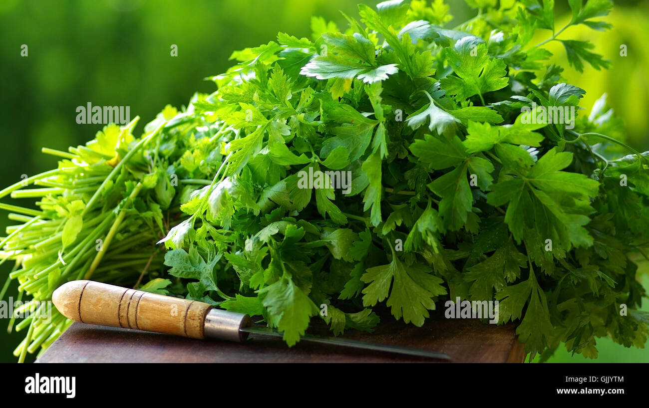 spice vegetable herb Stock Photo Alamy