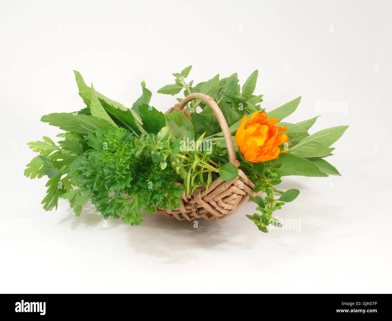 culinary herbs herb tea herbs Stock Photo