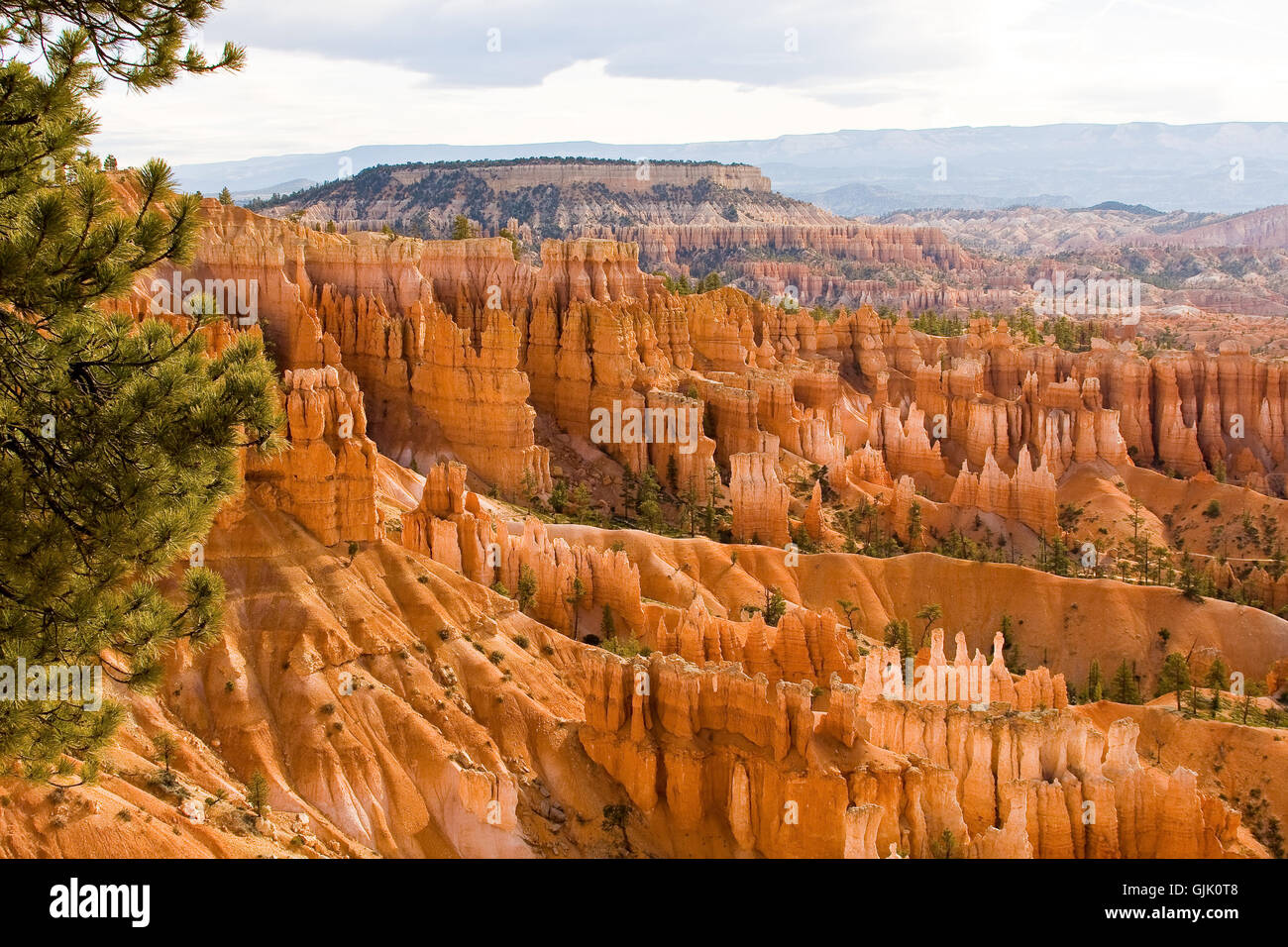 national park Canyon plateau Stock Photo