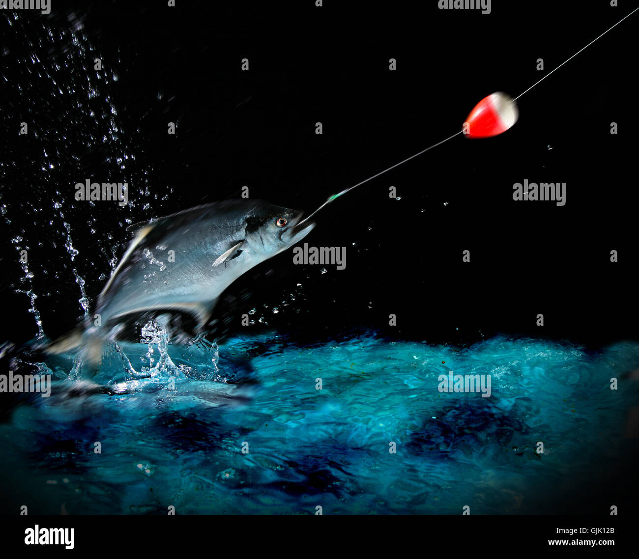 sport sports night Stock Photo Alamy