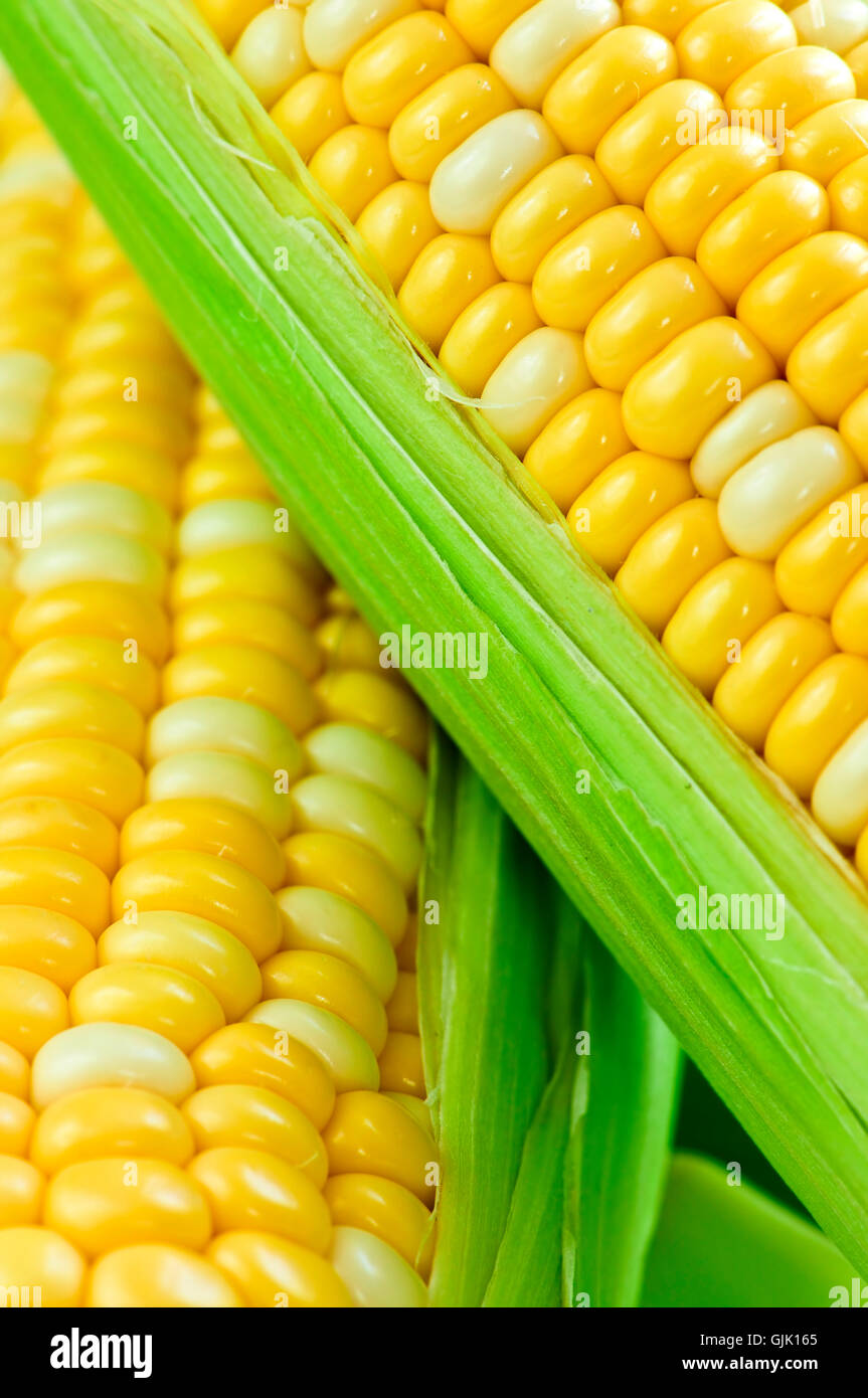 ear corn husk Stock Photo Alamy