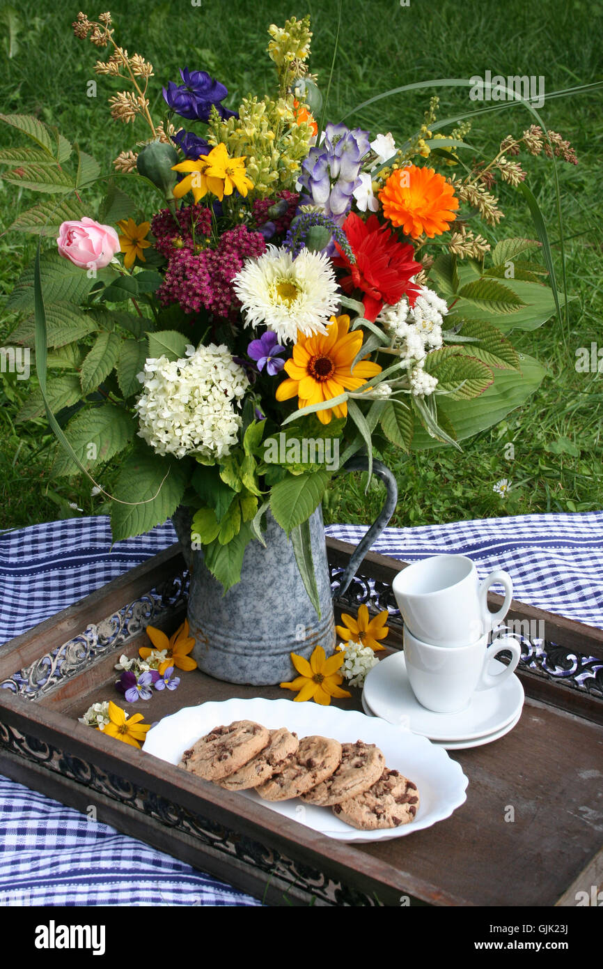 flower flowers plant Stock Photo