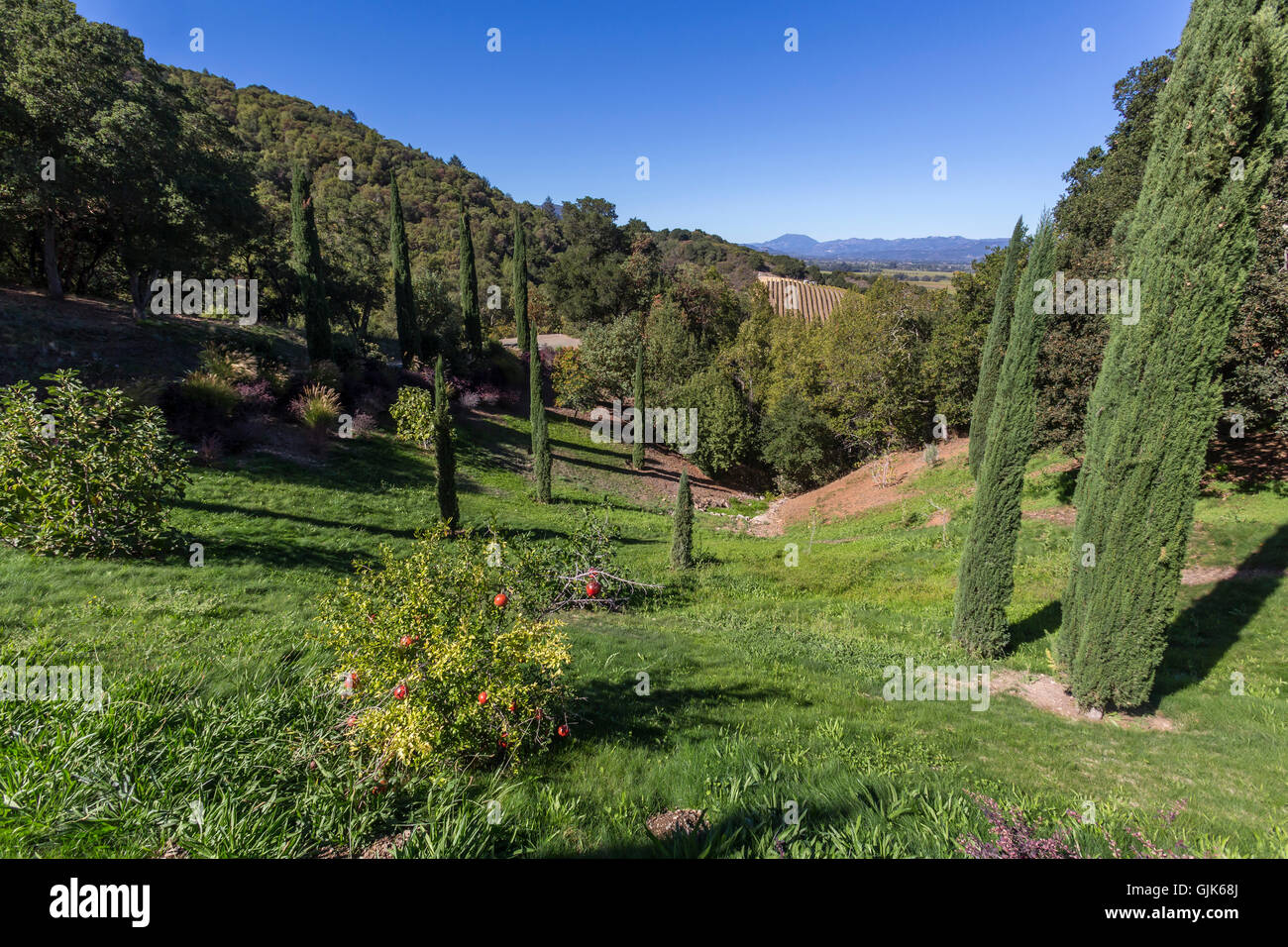 garden, gardening, garden landscape, looking east to Highway 29, view from, Paradise Hills, Blankiet Estate, Yountville, Napa Valley, California Stock Photo