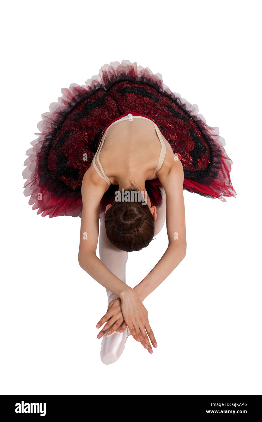 [Camel] Back Bow Ballet