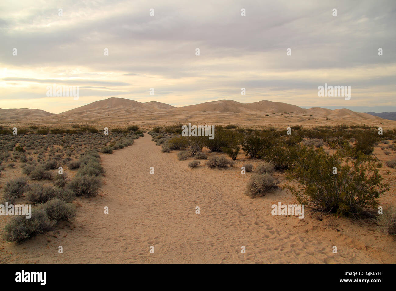 Kelso Dunes Trail in Mojave National Preserve in the state of California Stock Photo
