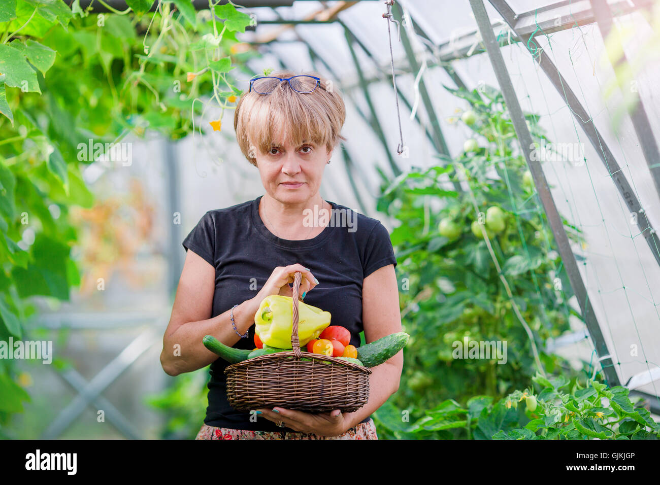 Woman with basket of greenery and vegetables in the greenhouse. Time to ...