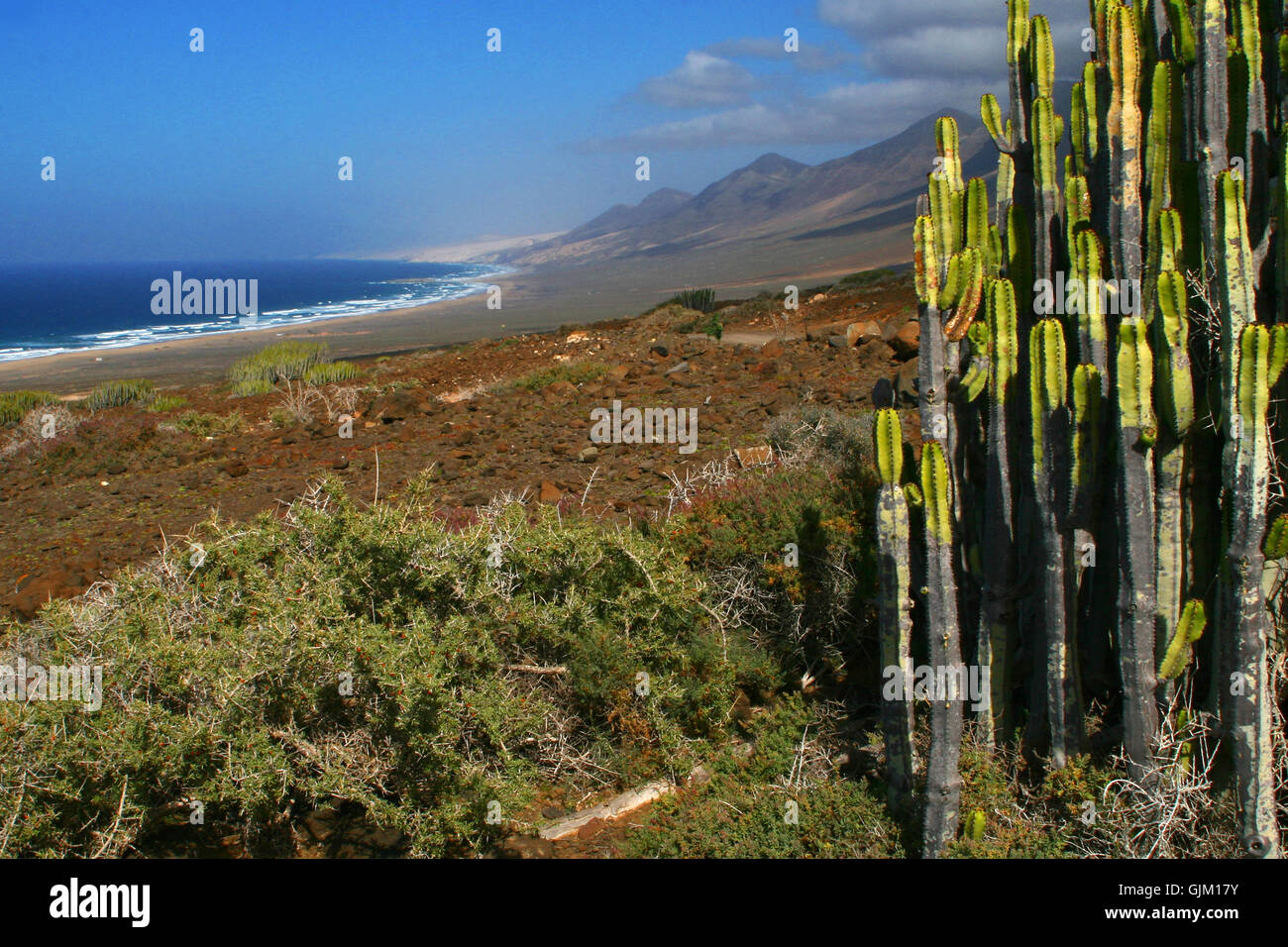 Unaffected vacations hi-res stock photography and images - Alamy