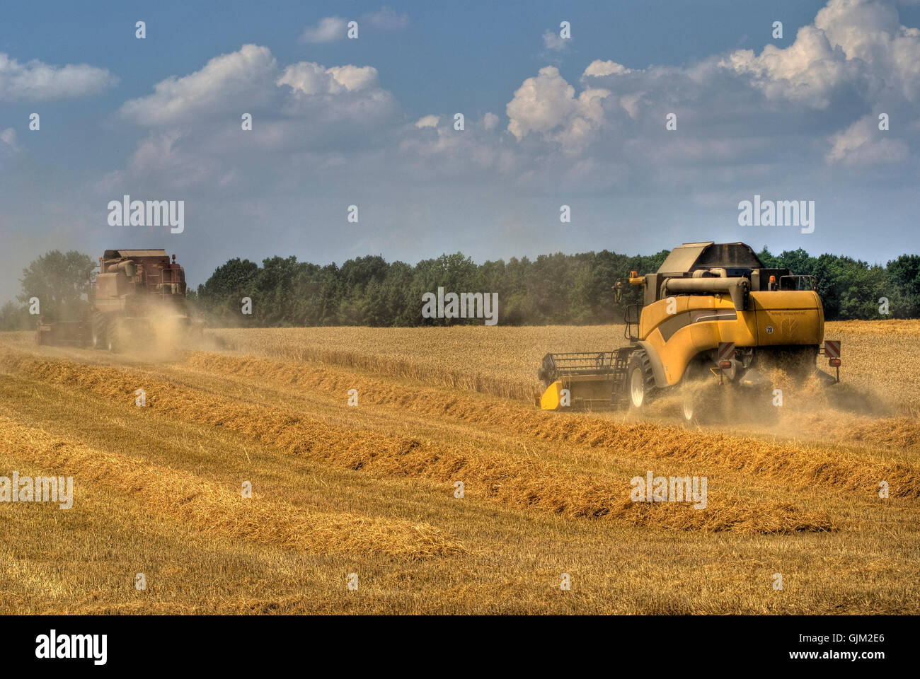Harvest Dusters