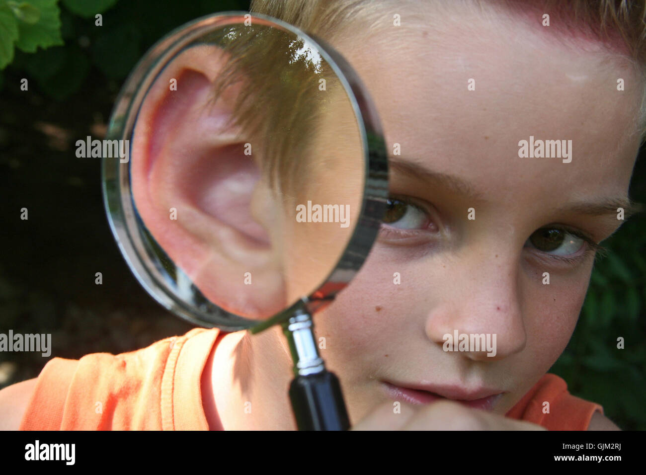 listen auricle acoustic instrument Stock Photo - Alamy