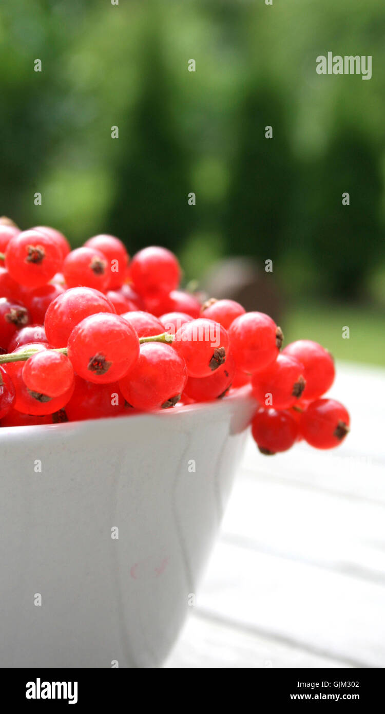 currants (9) Stock Photo