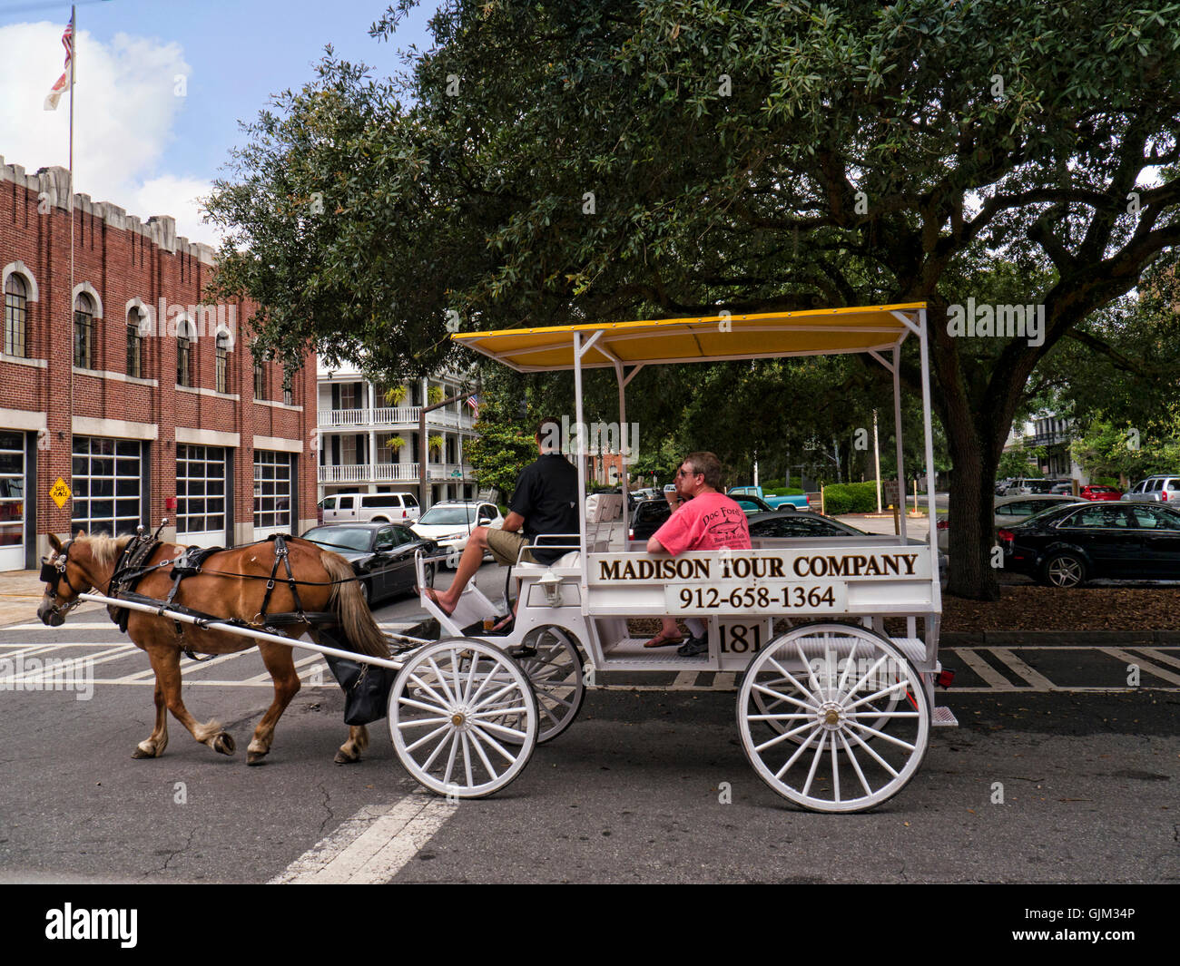 Savannah Georgia Horse Stock Photos Savannah Georgia Horse Stock