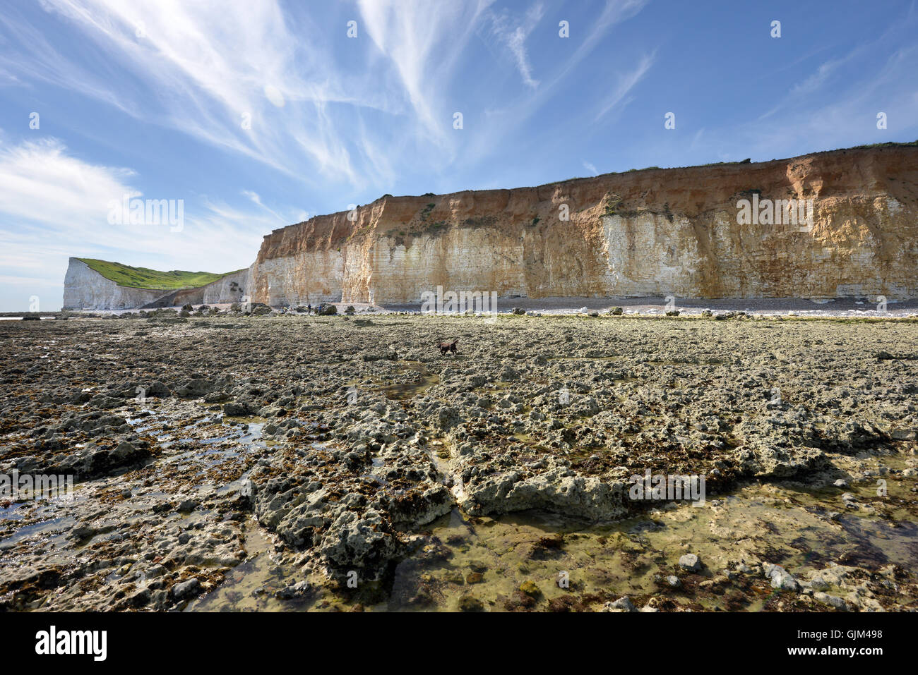 Chalk cliffs at Hope Gap, Near Seaford,  East Sussex, in the South Downs National Park Stock Photo