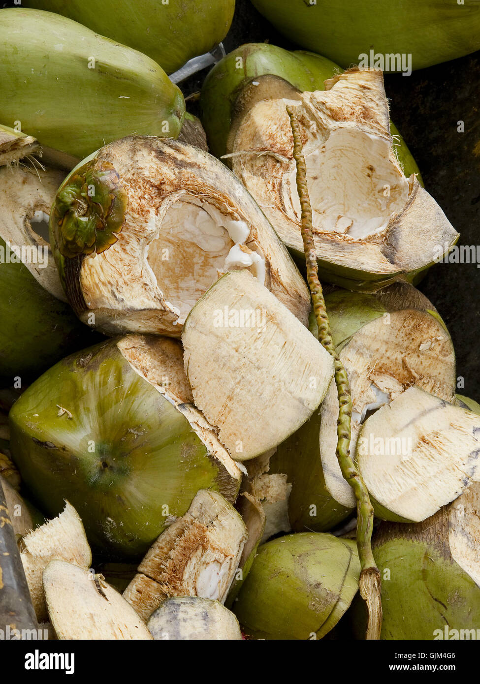 Green coconut shell Stock Photo Alamy
