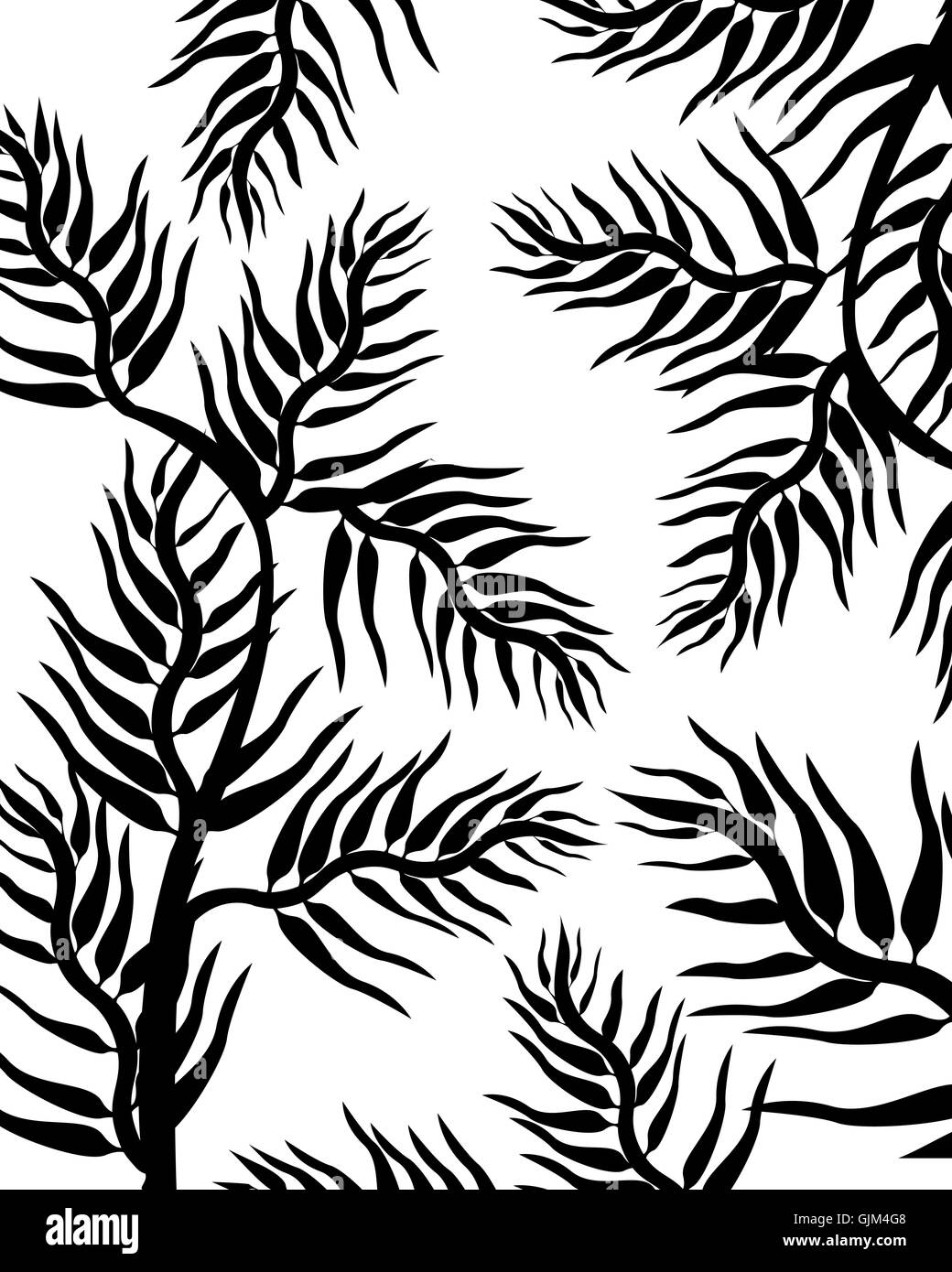 Delicate silhouette leaves hi-res stock photography and images - Alamy