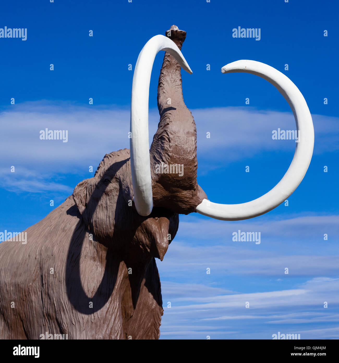 Mammoth mammuthus ice hires stock photography and images Alamy