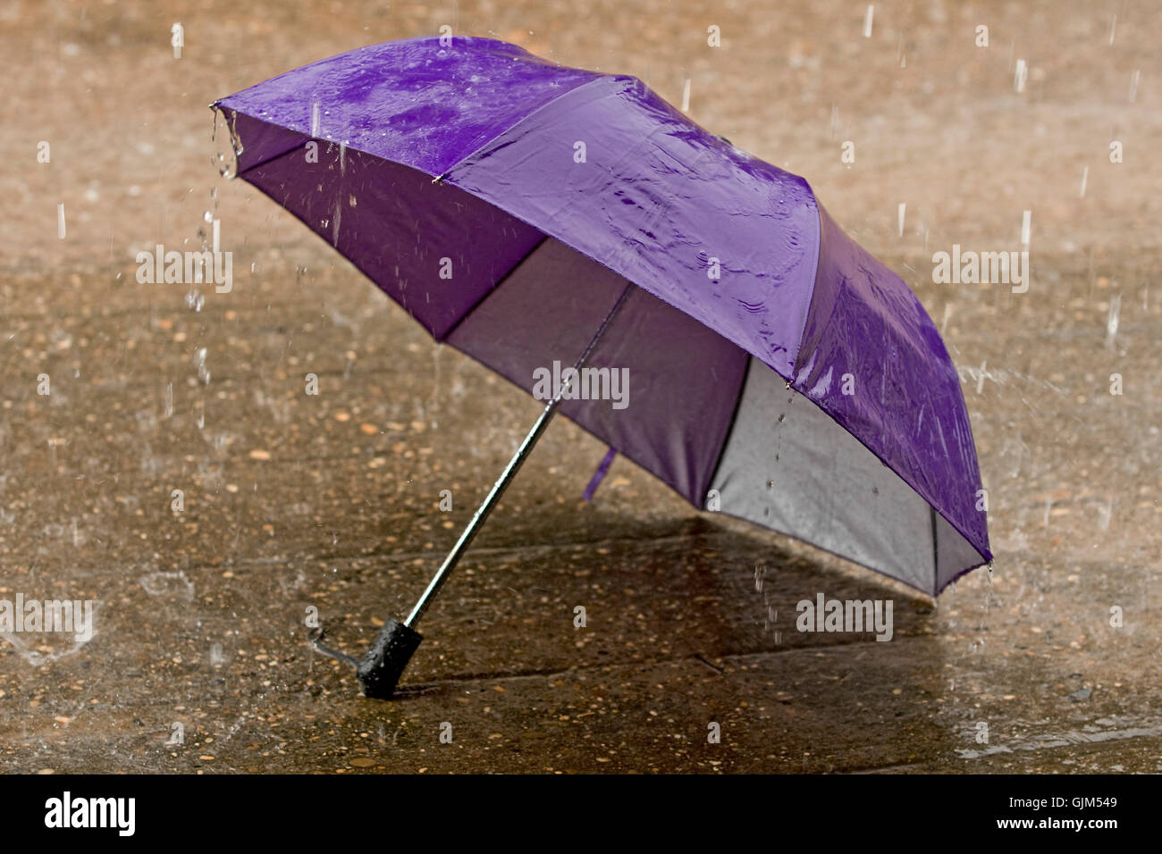 umbrella in heavy rain weather Stock Photo Alamy