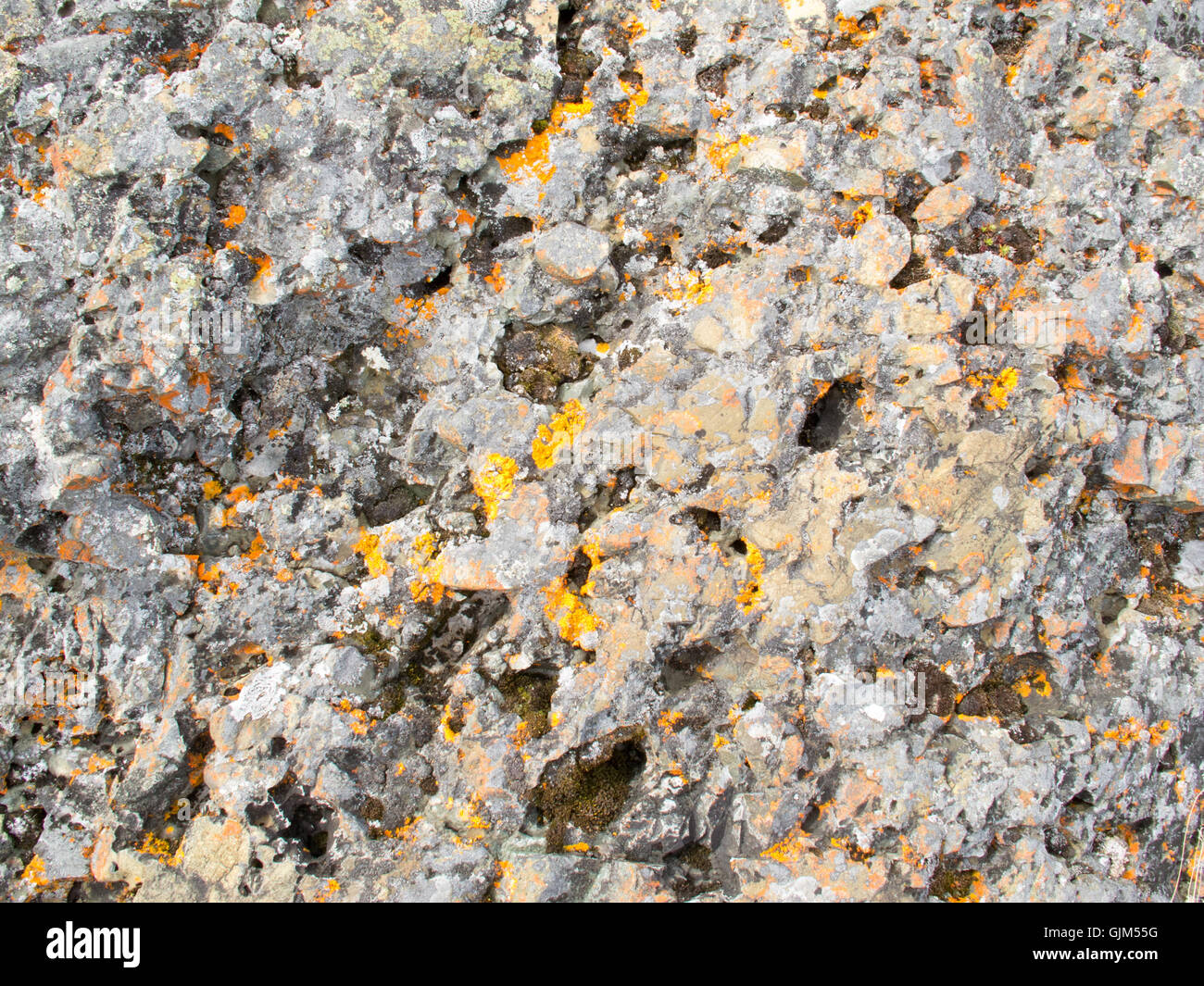 Colorful Lichens on Rocky surface Background Stock Photo - Alamy