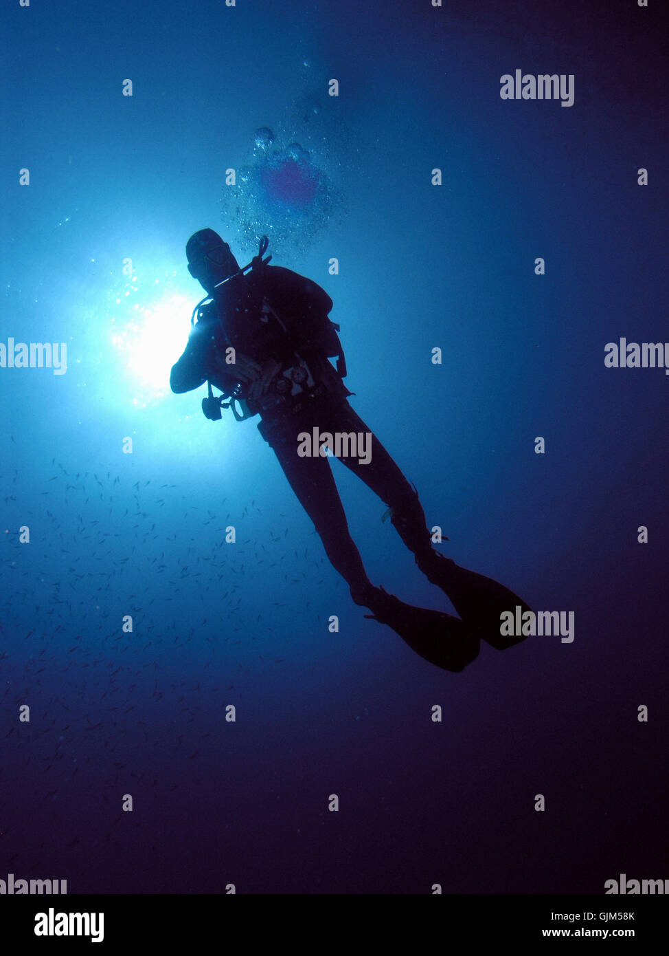 diver in backlight Stock Photo